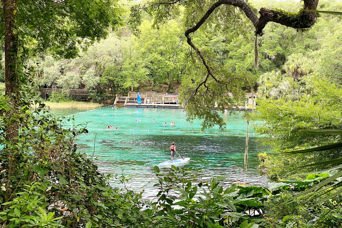 Tourists swimming in Rainbow Springs